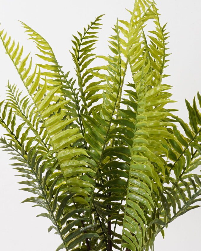 Artificial Plant 50*50*76cm Coniogramme japonica *5 bush/20 lvs GS-72424011 2025Feb YeahFlower is one of Chinese leading OEM manufacturers and exporters , supplying the silk flowers, wholesale artificial trees