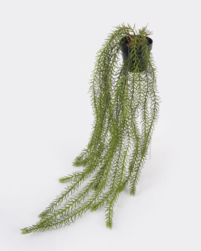 Artificial Plant 23*23*64cm Coontail plant in pp pot GS-05524037 2024Dec YeahFlower is one of Chinese leading OEM manufacturers and exporters , supplying the silk flowers, wholesale artificial trees