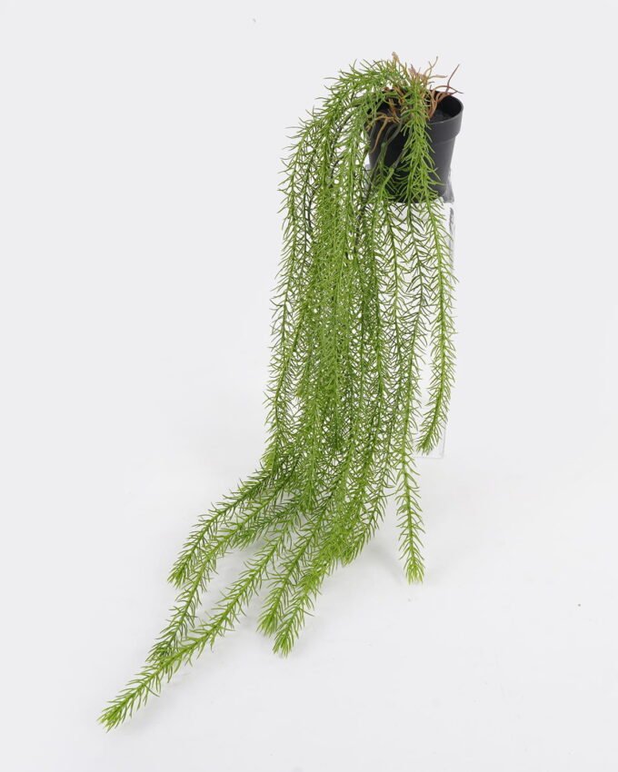 Artificial Plant 23*23*64cm Coontail plant in pp pot GS-05524037 2024Dec YeahFlower is one of Chinese leading OEM manufacturers and exporters , supplying the silk flowers, wholesale artificial trees