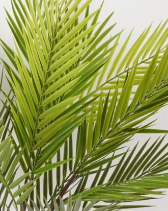 Artificial Plant 45*45*68cm Cypress leaf *5 bush/20 lvs GS-72424001 2025Feb YeahFlower is one of Chinese leading OEM manufacturers and exporters , supplying the silk flowers, wholesale artificial trees Artificial Plant 45*45*68cm Cypress leaf *5 bush/20 lvs GS-72424001 2025Feb YeahFlower is one of Chinese leading OEM manufacturers and exporters , supplying the silk flowers, wholesale artificial trees