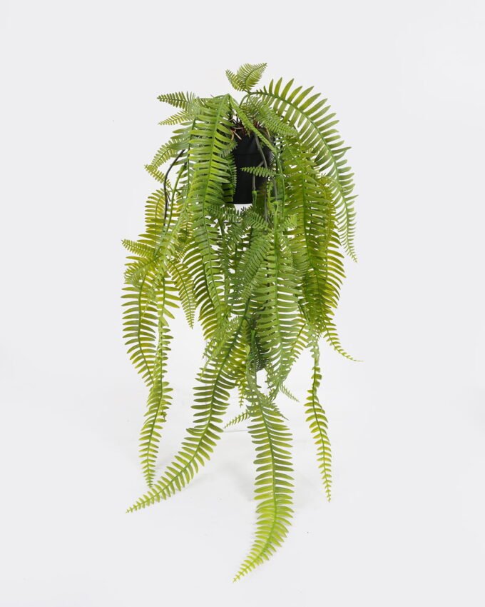 Artificial Plant 25*25*57cm Dicranopteris dichotoma plant in pp pot GS-05524038 Banners&Garlands YeahFlower is one of Chinese leading OEM manufacturers and exporters , supplying the silk flowers, wholesale artificial trees
