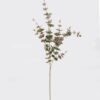 Artificial Plant 18*18*98cm Eucalyptus *15 single stem GS-14324011-G2 2024Dec YeahFlower is one of Chinese leading OEM manufacturers and exporters , supplying the silk flowers, wholesale artificial trees