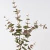 Artificial Plant 18*18*98cm Eucalyptus *15 single stem GS-14324011-G2 2024Dec YeahFlower is one of Chinese leading OEM manufacturers and exporters , supplying the silk flowers, wholesale artificial trees