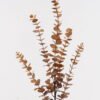 Artificial Plant 22*22*86cm  Eucalyptus *5 single stem GS-72424037-Y1 2025Feb YeahFlower is one of Chinese leading OEM manufacturers and exporters , supplying the silk flowers, wholesale artificial trees