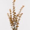 Artificial Plant Eucalyptus 5 single stem GS-72424037_3 Artificial Plant 22*22*86cm Eucalyptus *5 single stem GS-72424037 2025Feb YeahFlower is one of Chinese leading OEM manufacturers and exporters , supplying the silk flowers, wholesale artificial trees