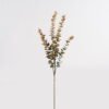 Artificial Plant Eucalyptus 5 single stem GS-72424037_5 Artificial Plant 22*22*86cm Eucalyptus *5 single stem GS-72424037 2025Feb YeahFlower is one of Chinese leading OEM manufacturers and exporters , supplying the silk flowers, wholesale artificial trees