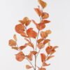 Artificial Plant 31*31*96cm  Eucalyptus Leaf *5 single stem GS-14524031-O1 2024Dec YeahFlower is one of Chinese leading OEM manufacturers and exporters , supplying the silk flowers, wholesale artificial trees