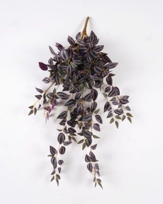 Artificial Plant 25*70cm Eyebrow leaf *15 hanging GS-74924018 2025Feb YeahFlower is one of Chinese leading OEM manufacturers and exporters , supplying the silk flowers, wholesale artificial trees Artificial Plant 25*70cm Eyebrow leaf *15 hanging GS-74924018 2025Feb YeahFlower is one of Chinese leading OEM manufacturers and exporters , supplying the silk flowers, wholesale artificial trees