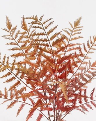 Artificial Plant 35*35*58cm Frond leaf *13 bush GS-72424019 2025Feb YeahFlower is one of Chinese leading OEM manufacturers and exporters , supplying the silk flowers, wholesale artificial trees Artificial Plant 35*35*58cm Frond leaf *13 bush GS-72424019 2025Feb YeahFlower is one of Chinese leading OEM manufacturers and exporters , supplying the silk flowers, wholesale artificial trees