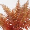 Artificial Plant Frond leaf 13 bush GS-72424029_2 Artificial Plant 40*40*69cm Frond leaf *13 bush GS-72424029 2025Feb YeahFlower is one of Chinese leading OEM manufacturers and exporters , supplying the silk flowers, wholesale artificial trees