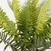 Artificial Plant 50*50*76cm Frond leaf *5 bush/20 lvs GS-72424010 2025Feb YeahFlower is one of Chinese leading OEM manufacturers and exporters , supplying the silk flowers, wholesale artificial trees