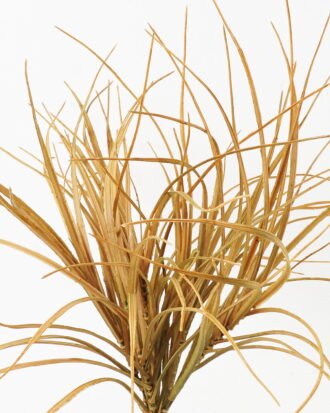 Artificial Plant 45*45*48cm Grass *5 bush GS-72424017-G2 2025Feb YeahFlower is one of Chinese leading OEM manufacturers and exporters , supplying the silk flowers, wholesale artificial trees Artificial Plant 45*45*48cm Grass *5 bush GS-72424017-G2 2025Feb YeahFlower is one of Chinese leading OEM manufacturers and exporters , supplying the silk flowers, wholesale artificial trees