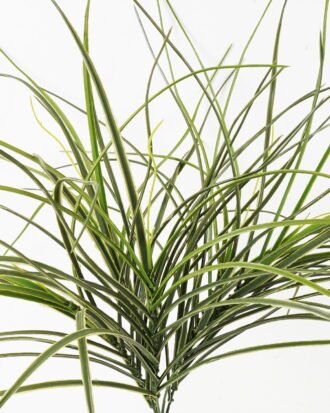 Artificial Plant 45*45*48cm Grass *5 bush GS-72424017 2025Feb YeahFlower is one of Chinese leading OEM manufacturers and exporters , supplying the silk flowers, wholesale artificial trees Artificial Plant 45*45*48cm Grass *5 bush GS-72424017 2025Feb YeahFlower is one of Chinese leading OEM manufacturers and exporters , supplying the silk flowers, wholesale artificial trees