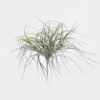 Artificial Plant 45*45*48cm Grass *5 bush GS-72424017 2025Feb YeahFlower is one of Chinese leading OEM manufacturers and exporters , supplying the silk flowers, wholesale artificial trees