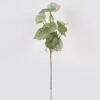 Artificial Plant 25*25*75cm Green laurel leaf single stem GS-51624043 2025Jan 3,000+ sqm showroom with thousands of artificial flowers, plants & trees ready for global sourcing.