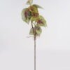 Artificial Plant 25*25*75cm Green laurel leaf single stem GS-51624043 2025Jan 3,000+ sqm showroom with thousands of artificial flowers, plants & trees ready for global sourcing.