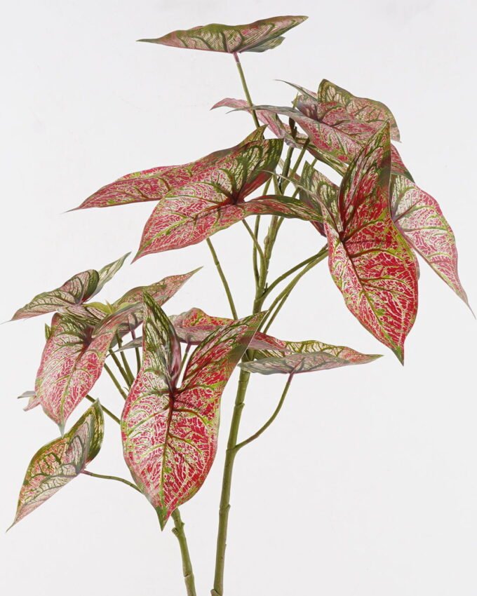 Artificial Plant Leaf 2 single stem 17 lvs GS-14524071_2 Artificial Plant 42*42*117cm Leaf *2 single stem/17 lvs GS-14524071 2024Dec YeahFlower is one of Chinese leading OEM manufacturers and exporters , supplying the silk flowers, wholesale artificial trees