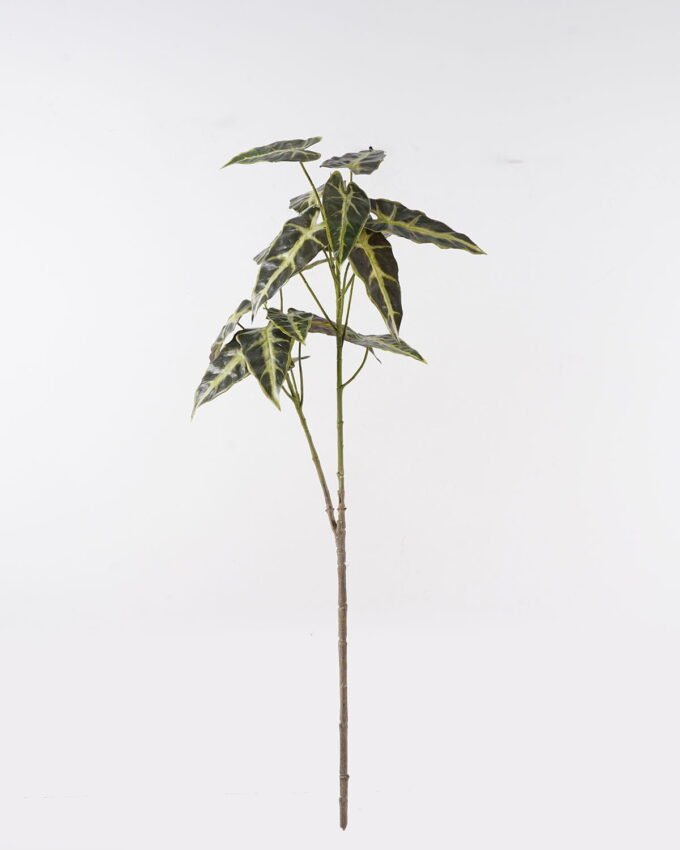 Artificial Plant Leaf 2 single stem 17 lvs GS-14524073 Artificial Plant 42*42*117cm Leaf *2 single stem/17 lvs GS-14524073 2024Dec YeahFlower is one of Chinese leading OEM manufacturers and exporters , supplying the silk flowers, wholesale artificial trees