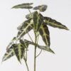 Artificial Plant Leaf 2 single stem 17 lvs GS-14524073_1 Artificial Plant 42*42*117cm Leaf *2 single stem/17 lvs GS-14524073 2024Dec YeahFlower is one of Chinese leading OEM manufacturers and exporters , supplying the silk flowers, wholesale artificial trees