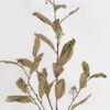 Artificial Plant 15*15*100cm Leaf *4 single stem/25 LVS GS-15424032-G1 2024Dec YeahFlower is one of Chinese leading OEM manufacturers and exporters , supplying the silk flowers, wholesale artificial trees