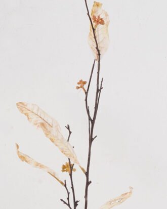 Artificial Plant 9*9*68cm Leaf single stem/6 LVS GS-15424029-W1 2024Dec YeahFlower is one of Chinese leading OEM manufacturers and exporters , supplying the silk flowers, wholesale artificial trees