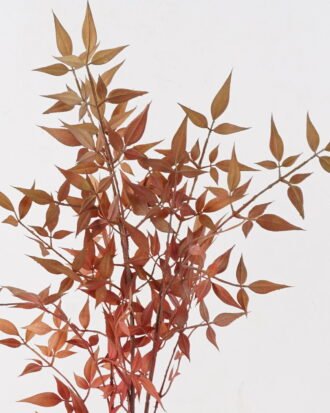 Artificial Plant 40*40*102cm Nandina *12 single stem GS-72424034-O1 2025Feb YeahFlower is one of Chinese leading OEM manufacturers and exporters , supplying the silk flowers, wholesale artificial trees Artificial Plant 40*40*102cm Nandina *12 single stem GS-72424034-O1 2025Feb YeahFlower is one of Chinese leading OEM manufacturers and exporters , supplying the silk flowers, wholesale artificial trees