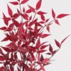 Artificial Plant 40*40*102cm Nandina *12  single stem GS-72424034-R1 2025Feb YeahFlower is one of Chinese leading OEM manufacturers and exporters , supplying the silk flowers, wholesale artificial trees