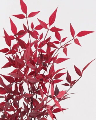 Artificial Plant 40*40*102cm Nandina *12 single stem GS-72424034-R1 2025Feb YeahFlower is one of Chinese leading OEM manufacturers and exporters , supplying the silk flowers, wholesale artificial trees Artificial Plant 40*40*102cm Nandina *12 single stem GS-72424034-R1 2025Feb YeahFlower is one of Chinese leading OEM manufacturers and exporters , supplying the silk flowers, wholesale artificial trees