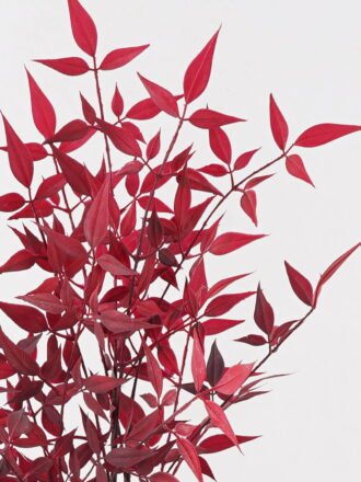 Artificial Plant 40*40*102cm Nandina *12  single stem GS-72424034-O1 2025Feb 3,000+ sqm showroom with thousands of artificial flowers, plants & trees ready for global sourcing.