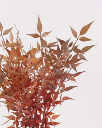 Artificial Plant 40*40*69cm Nandina *20 bush GS-72424035 2025Feb YeahFlower is one of Chinese leading OEM manufacturers and exporters , supplying the silk flowers, wholesale artificial trees Artificial Plant 40*40*69cm Nandina *20 bush GS-72424035 2025Feb YeahFlower is one of Chinese leading OEM manufacturers and exporters , supplying the silk flowers, wholesale artificial trees