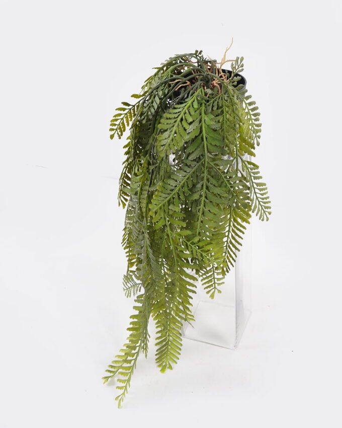 Artificial Plant 25*25*55cm  Pine fern plant in pp pot GS-05524036 Banners&Garlands YeahFlower is one of Chinese leading OEM manufacturers and exporters , supplying the silk flowers, wholesale artificial trees