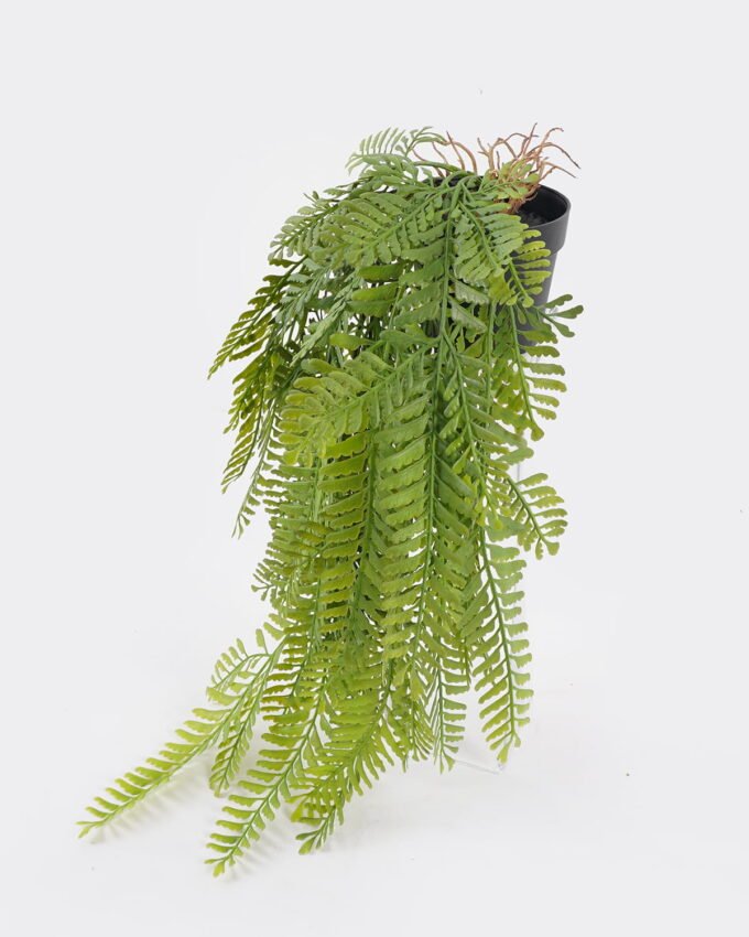 Artificial Plant 25*25*55cm  Pine fern plant in pp pot GS-05524036 Banners&Garlands YeahFlower is one of Chinese leading OEM manufacturers and exporters , supplying the silk flowers, wholesale artificial trees