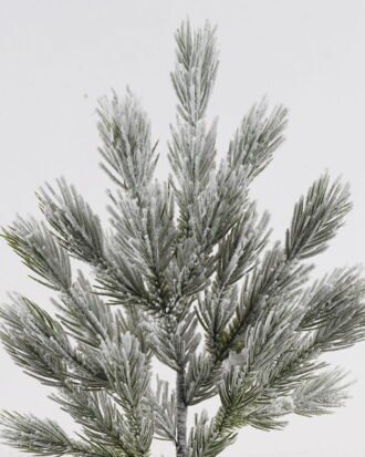 Artificial Plant 24*24*60cm Pine needle leaf single stem GS-54024092 2025Jan YeahFlower is one of Chinese leading OEM manufacturers and exporters , supplying the silk flowers, wholesale artificial trees Artificial Plant 24*24*60cm Pine needle leaf single stem GS-54024092 2025Jan YeahFlower is one of Chinese leading OEM manufacturers and exporters , supplying the silk flowers, wholesale artificial trees