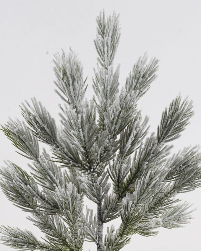 Artificial Plant 24*24*60cm Pine needle leaf single stem GS-54024092 2025Jan YeahFlower is one of Chinese leading OEM manufacturers and exporters , supplying the silk flowers, wholesale artificial trees