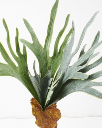 Artificial Plant 38*38*58cm Platycerium wallichii bush/7 lvs GS-72424016 2025Feb YeahFlower is one of Chinese leading OEM manufacturers and exporters , supplying the silk flowers, wholesale artificial trees Artificial Plant 38*38*58cm Platycerium wallichii bush/7 lvs GS-72424016 2025Feb YeahFlower is one of Chinese leading OEM manufacturers and exporters , supplying the silk flowers, wholesale artificial trees