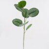 Artificial Plant 31*31*83cm Roundleaf  single stem GS-14524026 Leaves&Sprays&Foliages 3,000+ sqm showroom with thousands of artificial flowers, plants & trees ready for global sourcing.