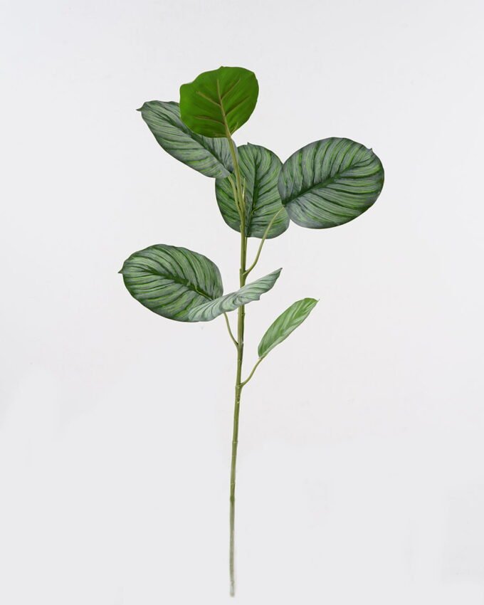 Artificial Plant 31*31*83cm Roundleaf  single stem GS-14524026 Leaves&Sprays&Foliages 3,000+ sqm showroom with thousands of artificial flowers, plants & trees ready for global sourcing.