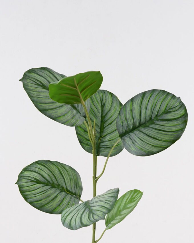Artificial Plant 31*31*83cm Roundleaf  single stem GS-14524026 Leaves&Sprays&Foliages 3,000+ sqm showroom with thousands of artificial flowers, plants & trees ready for global sourcing.