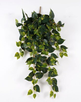 Artificial Plant 35*90cm Scindapsus *7 hanging GS-74924030 2025Feb YeahFlower is one of Chinese leading OEM manufacturers and exporters , supplying the silk flowers, wholesale artificial trees Artificial Plant 35*90cm Scindapsus *7 hanging GS-74924030 2025Feb YeahFlower is one of Chinese leading OEM manufacturers and exporters , supplying the silk flowers, wholesale artificial trees