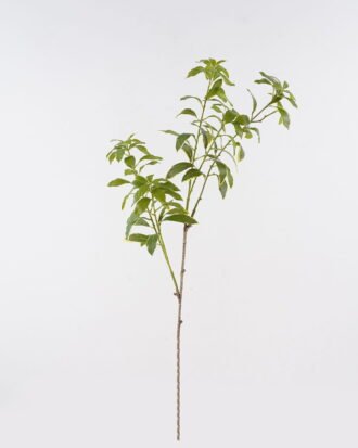 Artificial Plant 30*30*102cm Thymelia *5 leaf single stem GS-14324007 2024Dec YeahFlower is one of Chinese leading OEM manufacturers and exporters , supplying the silk flowers, wholesale artificial trees