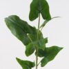 Artificial Plant 34*34*81cm  Typhonium giganteum single stem GS-14524029 2024Dec YeahFlower is one of Chinese leading OEM manufacturers and exporters , supplying the silk flowers, wholesale artificial trees