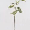 Artificial Plant 29*29*71cm  hippocampal leaves  single stem GS-14524028 2024Dec YeahFlower is one of Chinese leading OEM manufacturers and exporters , supplying the silk flowers, wholesale artificial trees