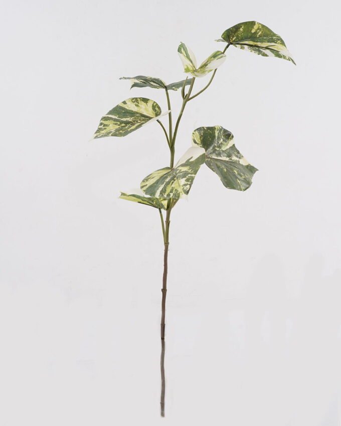 Artificial Plant 29*29*71cm  hippocampal leaves  single stem GS-14524028 2024Dec YeahFlower is one of Chinese leading OEM manufacturers and exporters , supplying the silk flowers, wholesale artificial trees