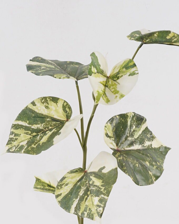 Artificial Plant 29*29*71cm  hippocampal leaves  single stem GS-14524028 2024Dec YeahFlower is one of Chinese leading OEM manufacturers and exporters , supplying the silk flowers, wholesale artificial trees