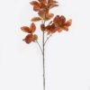 Artificial Plant 50*50*120cm leaf *3 single stem GS-17724066 2024Dec YeahFlower is one of Chinese leading OEM manufacturers and exporters , supplying the silk flowers, wholesale artificial trees
