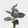 Artificial Plant 36*36*46cm leaf bush /9 Lvs GS-14524019 2024Dec YeahFlower is one of Chinese leading OEM manufacturers and exporters , supplying the silk flowers, wholesale artificial trees