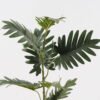 Artificial Plant leaf single stem GS-14524025_4 Artificial Plant 30*30*83cm leaf single stem GS-14524025 2024Dec YeahFlower is one of Chinese leading OEM manufacturers and exporters , supplying the silk flowers, wholesale artificial trees