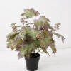 Artificial Table Plants 30*30*35cm Grape leaves in PP pot GS-03324043-R1 2024Dec YeahFlower is one of Chinese leading OEM manufacturers and exporters , supplying the silk flowers, wholesale artificial trees