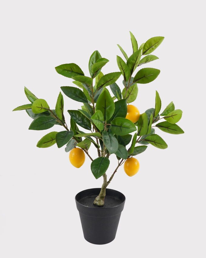 Artificial Table Plants 32*32*50cm Lemon tree in PP pot GS-29824062 2024Dec YeahFlower is one of Chinese leading OEM manufacturers and exporters , supplying the silk flowers, wholesale artificial trees