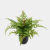 Artificial Table Plants Plant in PP pot 19 lvs GS-57624003_1 Artificial Table Plants 44*44*40cm Plant in PP pot /19 lvs GS-57624003 2025Jan YeahFlower is one of Chinese leading OEM manufacturers and exporters , supplying the silk flowers, wholesale artificial trees